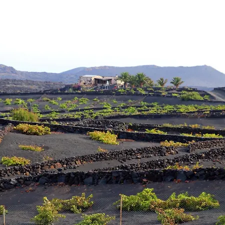 Vega De Timanfaya Uga