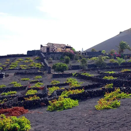 Vega De Timanfaya Uga