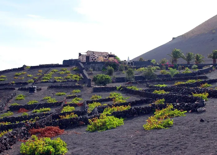 Vega De Timanfaya Uga