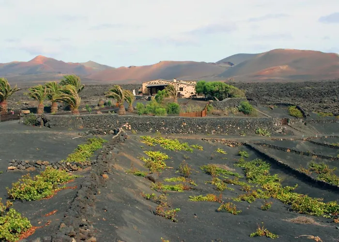 Vega De Timanfaya * Uga