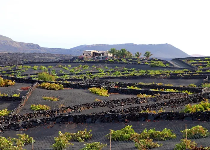 Vega De Timanfaya Uga